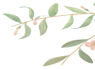 right-shape